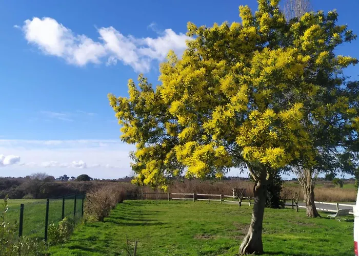 Διαμέρισμα 2 Pas De La