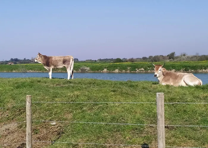 2 Pas De La Διαμέρισμα Villeneuve-en-Retz